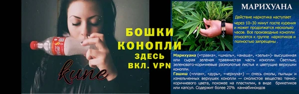 ПСИЛОЦИБИНОВЫЕ ГРИБЫ Алексин