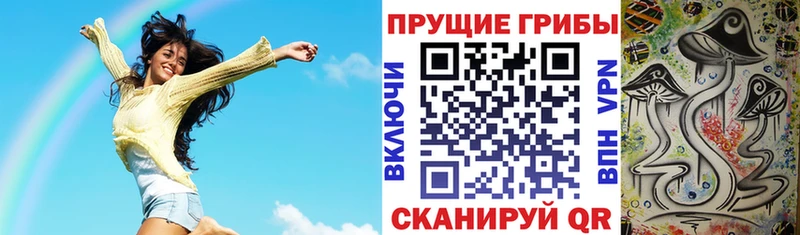 хочу   площадка Telegram  Галлюциногенные грибы Psilocybe  Сухой Лог 