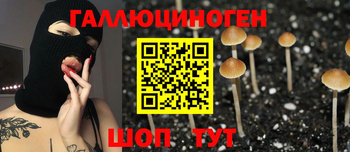 Сухой Лог  Псилоцибиновые грибы мицелий  Вход с VPN 