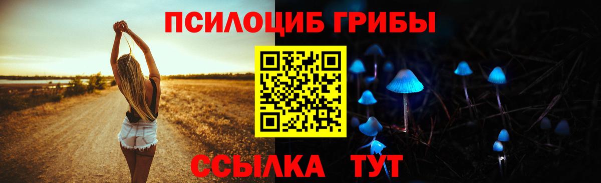 Галлюциногенные грибы GOLDEN TEACHER Сухой Лог